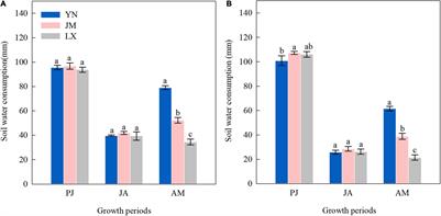 Differences in Water Consumption of Wheat Varieties Are Affected by Root Morphology Characteristics and Post-anthesis Root Senescence